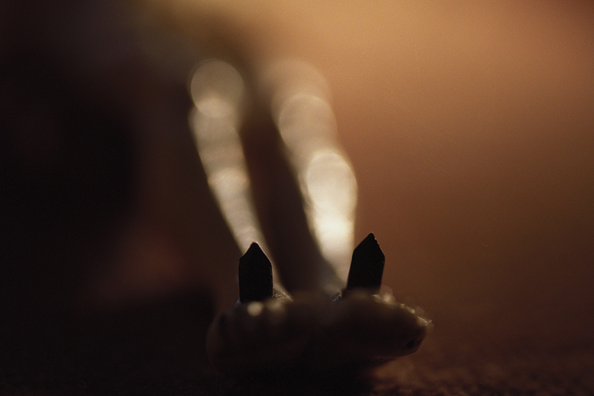 Peccata mundi, Claire Artemyz 10