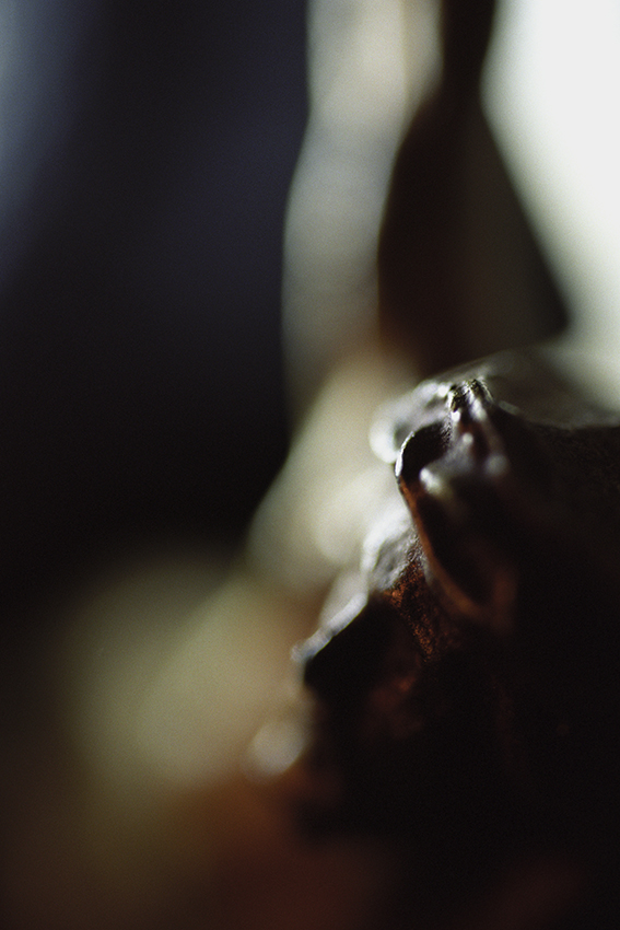 Peccata mundi, Claire Artemyz 14