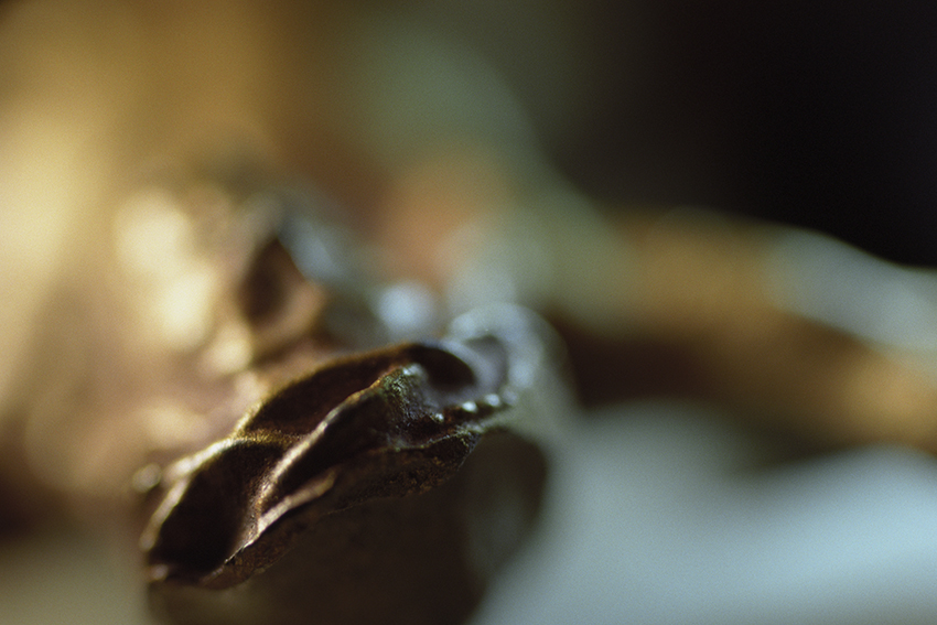 Peccata mundi, Claire Artemyz 12