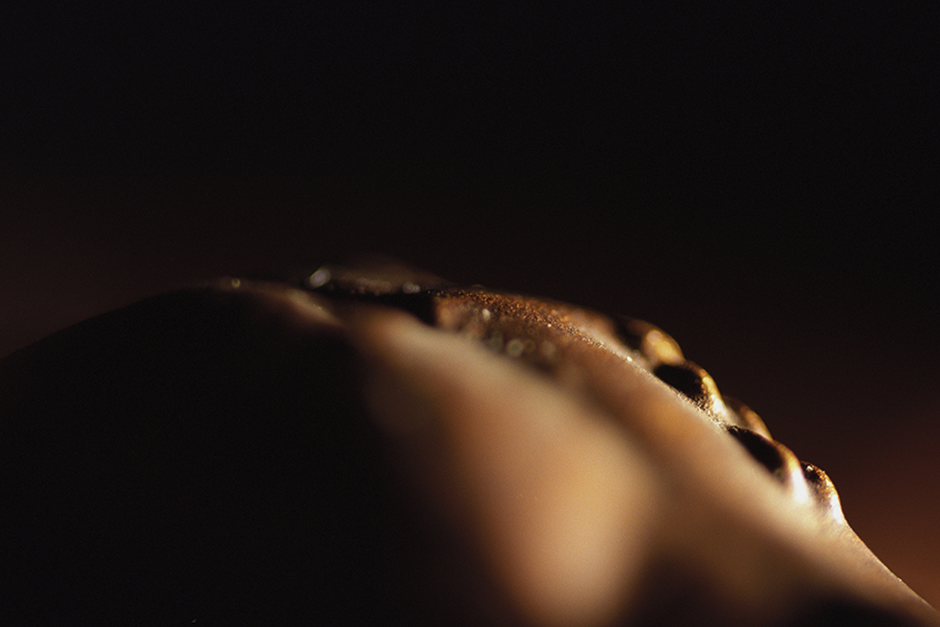 Peccata mundi, Claire Artemyz 19