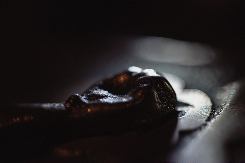 Peccata mundi, Claire Artemyz 20