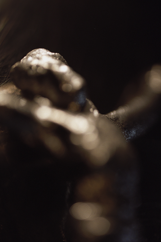 Peccata mundi, Claire Artemyz 21