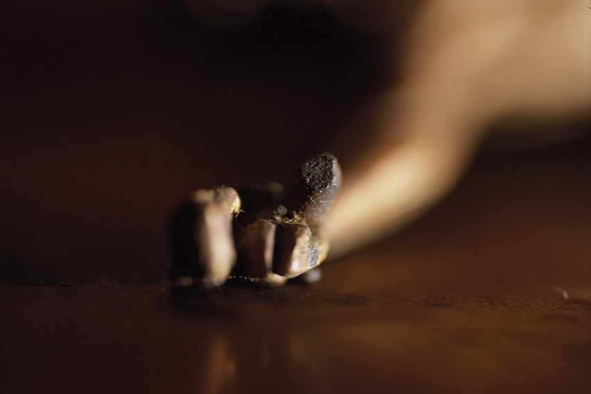 Peccata mundi, Claire Artemyz 22