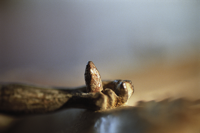 Peccata mundi, Claire Artemyz 5